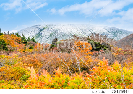 秋田　冠雪の栗駒山と紅葉に染まる須川高原 128176945