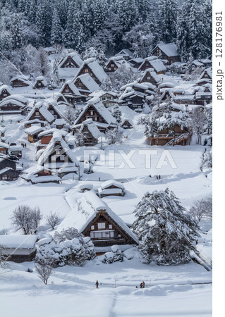 雪に覆われた冬の世界文化遺産 白川村(白川郷) 岐阜県 :1月 雪に覆われた冬の世界文化遺産 白川村(白川郷) 岐阜県 :1月 128176981