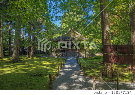 京都大原三千院 往生極楽院と庭園 128177154