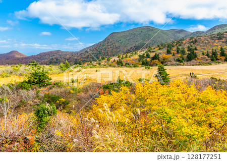 秋田 栗駒山・須川高原の紅葉 名残ヶ原 秋田 栗駒山・須川高原の紅葉 名残ヶ原 128177251