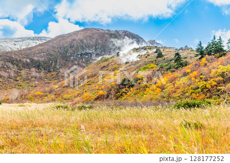 秋田 栗駒山・須川高原の紅葉　名残ヶ原 128177252