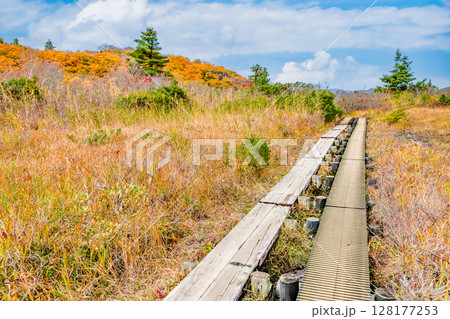 秋田 栗駒山・須川高原の紅葉 名残ヶ原 秋田 栗駒山・須川高原の紅葉 名残ヶ原 128177253