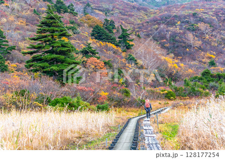 秋田 栗駒山・須川高原の紅葉　名残ヶ原 128177254