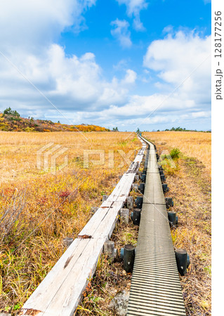 秋田 栗駒山・須川高原の紅葉　名残ヶ原 128177256