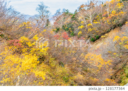 秋田 栗駒山・須川高原の紅葉 秋田 栗駒山・須川高原の紅葉 128177364