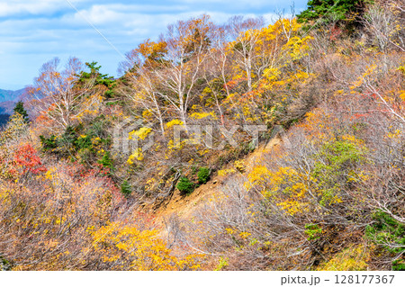 秋田　栗駒山・須川高原の紅葉 128177367
