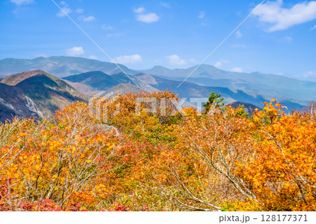 秋田　栗駒山・須川高原の紅葉 128177371
