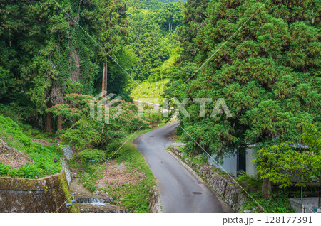 比叡山坂本ケーブル坂本駅付近の山林風景 比叡山坂本ケーブル坂本駅付近の山林風景 128177391