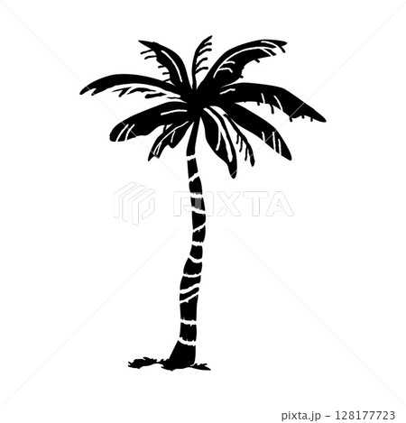 ヤシの木のシルエット 128177723
