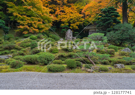 紅葉真っ盛りの福井県小浜市にある高野山真言宗萬徳寺を撮影 128177741