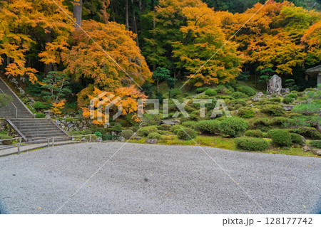 紅葉真っ盛りの福井県小浜市にある高野山真言宗萬徳寺を撮影 128177742