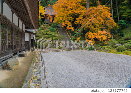 紅葉真っ盛りの福井県小浜市にある高野山真言宗萬徳寺を撮影 紅葉真っ盛りの福井県小浜市にある高野山真言宗萬徳寺を撮影 128177745