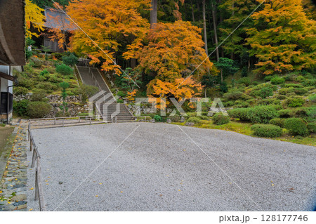 紅葉真っ盛りの福井県小浜市にある高野山真言宗萬徳寺を撮影 紅葉真っ盛りの福井県小浜市にある高野山真言宗萬徳寺を撮影 128177746