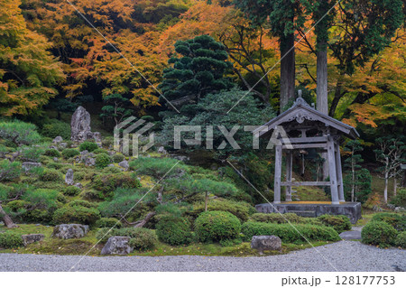 紅葉真っ盛りの福井県小浜市にある高野山真言宗萬徳寺を撮影 紅葉真っ盛りの福井県小浜市にある高野山真言宗萬徳寺を撮影 128177753