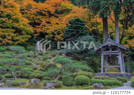 紅葉真っ盛りの福井県小浜市にある高野山真言宗萬徳寺を撮影 128177754