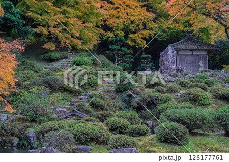 紅葉真っ盛りの福井県小浜市にある高野山真言宗萬徳寺を撮影 128177761