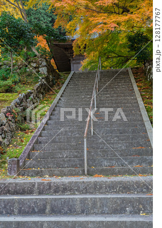 紅葉真っ盛りの福井県小浜市にある高野山真言宗萬徳寺を撮影 128177767