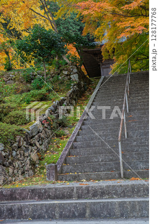 紅葉真っ盛りの福井県小浜市にある高野山真言宗萬徳寺を撮影 128177768