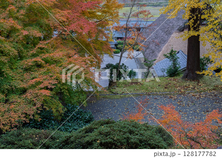 紅葉真っ盛りの福井県小浜市にある高野山真言宗萬徳寺を撮影 紅葉真っ盛りの福井県小浜市にある高野山真言宗萬徳寺を撮影 128177782