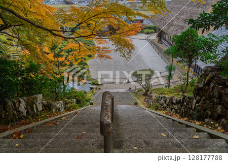 紅葉真っ盛りの福井県小浜市にある高野山真言宗萬徳寺を撮影 紅葉真っ盛りの福井県小浜市にある高野山真言宗萬徳寺を撮影 128177788