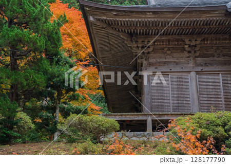 紅葉真っ盛りの福井県小浜市にある高野山真言宗萬徳寺を撮影 128177790