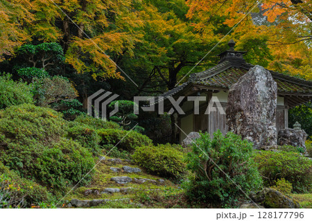 紅葉真っ盛りの福井県小浜市にある高野山真言宗萬徳寺を撮影 紅葉真っ盛りの福井県小浜市にある高野山真言宗萬徳寺を撮影 128177796