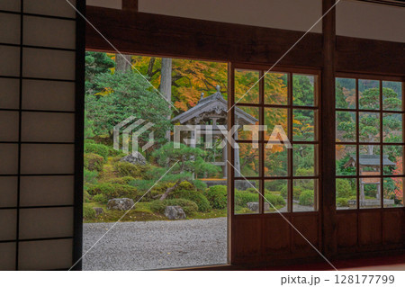 紅葉真っ盛りの福井県小浜市にある高野山真言宗萬徳寺を撮影 128177799