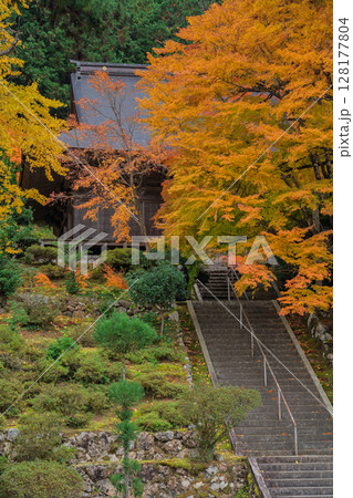 紅葉真っ盛りの福井県小浜市にある高野山真言宗萬徳寺を撮影 128177804