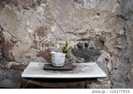 Minimalist Composition Featuring a Small Plant in a Weathered Container Minimalist Composition Featuring a Small Plant in a Weathered Container 128177938