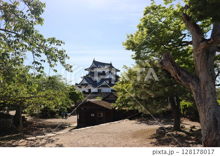 滋賀県彦根市彦根城 128178017