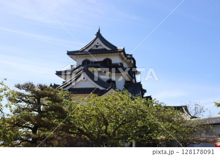 滋賀県彦根市彦根城 128178091
