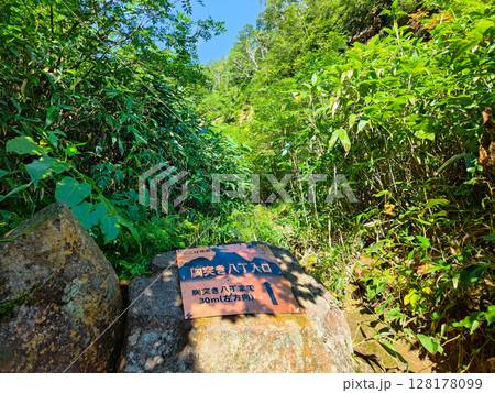 夏の妙高山登山(燕登山道:胸突き八丁) 夏の妙高山登山(燕登山道:胸突き八丁) 128178099