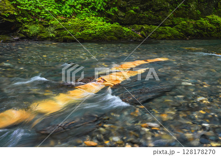 【横川渓谷】蛇石【上伊那郡辰野町】 128178270