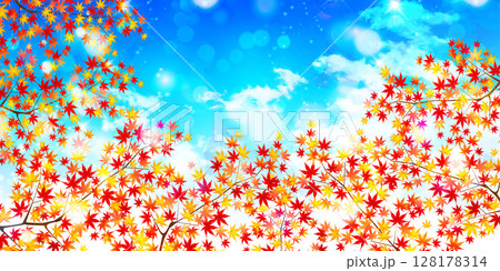 紅葉　もみじ　秋　背景	 128178314