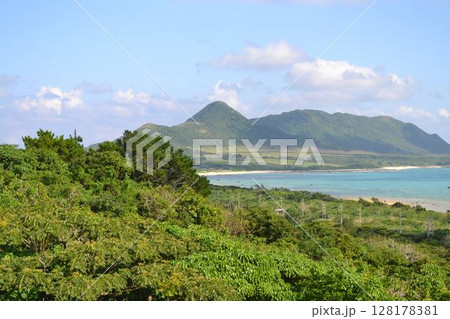 海 海 128178381