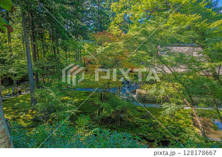京都大原三千院 有清園の夏景色 128178667