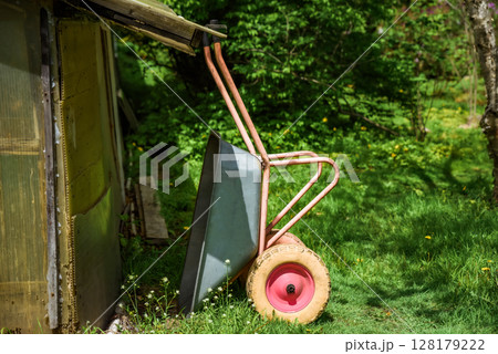 Old metal wheelbarrow with pink handles leans against a wooden shed in a green garden, symbolizing autumn harvest and rustic countryside life. Old metal wheelbarrow with pink handles leans against a wooden shed in a green garden, symbolizing autumn harvest and rustic countryside life. 128179222
