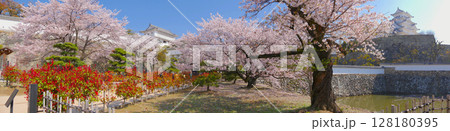 「世界文化遺産」「国宝」姫路城、三国堀の満開の桜/平成百景/日本の桜名所100選/日本100名城 128180395
