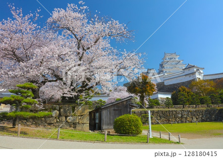 「世界文化遺産」「国宝」姫路城、三の丸広場と満開の桜/平成百景/日本さくら名所100選/日本100名 「世界文化遺産」「国宝」姫路城、三の丸広場と満開の桜/平成百景/日本さくら名所100選/日本100名 128180415