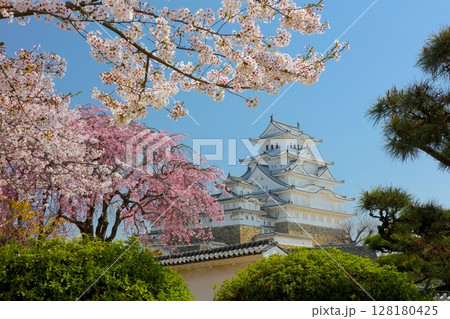 「世界文化遺産」「国宝」姫路城、西の丸庭園の紅白桜/平成百景/日本さくら名所100選/日本100名城 「世界文化遺産」「国宝」姫路城、西の丸庭園の紅白桜/平成百景/日本さくら名所100選/日本100名城 128180425