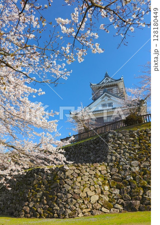 越前大野城の天守と桜/続日本100名城/天空の城 128180449