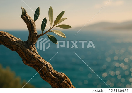 Ancient olive tree branch with green leaves overlooking the sparkling blue sea 128180981