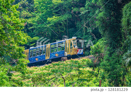 比叡山坂本ケーブル　滋賀県大津市 128181229