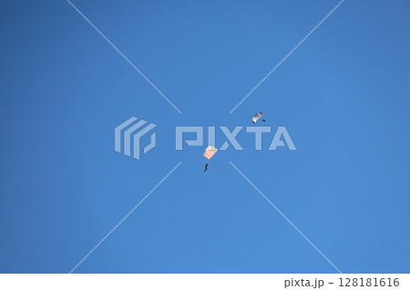 （さいたま・桶川飛行場）大空を飛ぶスカイダイバー 128181616