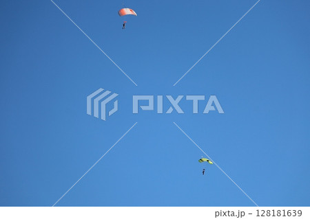 （さいたま・桶川飛行場）大空を飛ぶスカイダイバー 128181639