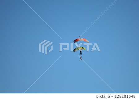 （さいたま・桶川飛行場）大空を飛ぶスカイダイバー 128181649