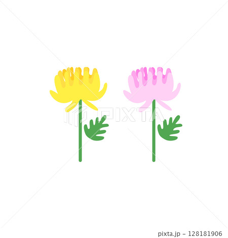 黄色とピンクの菊の花のイラスト 128181906