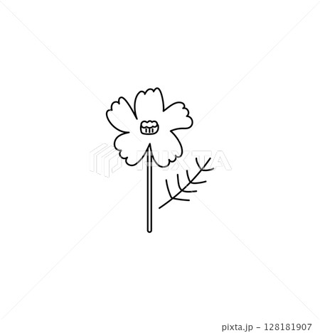 シンプルなコスモスの花のイラスト 128181907