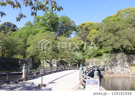 滋賀県彦根市彦根城 128181938