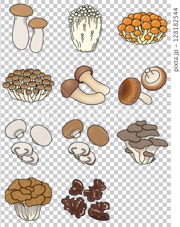 Mushroom icon set 128182544